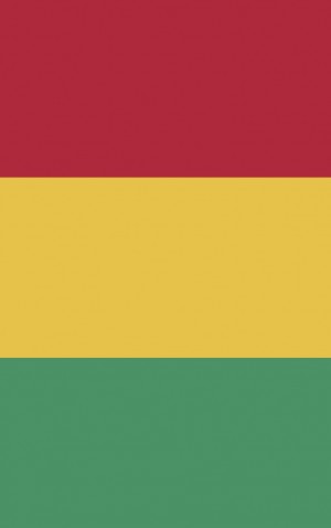 Guinea — proof front