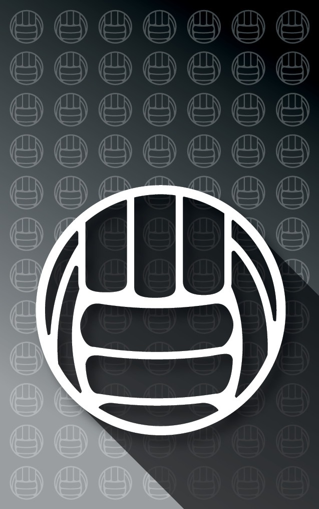 Gradient Black Volleyball