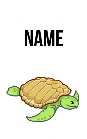 Classic Cartoon Turtle — proof front