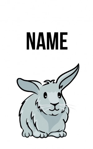 Classic Cartoon Bunny — proof front