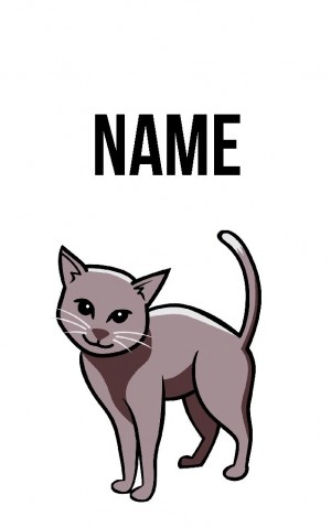 Classic Cartoon Cat — proof front
