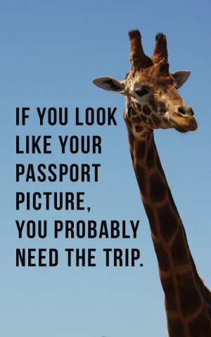 Travel — proof front