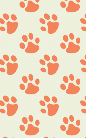 Retro Orange Paw Prints — proof front
