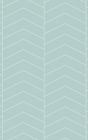 Retro Blue Herringbone — proof front