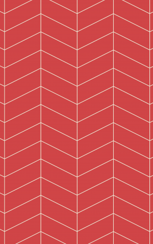 Retro Red Herringbone — proof front