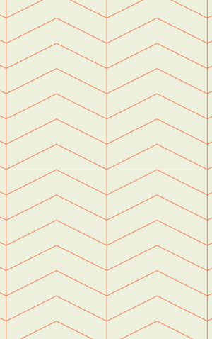 Retro Orange Herringbone — proof front