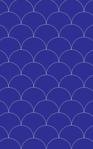 Bright Blue Scales — proof front