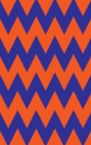 Bright Orange Chevron — proof front