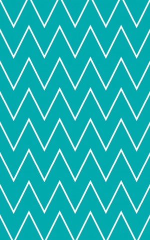 Bright Blue Chevron — proof front