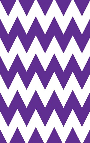 Bright Purple and White Chevron — proof front