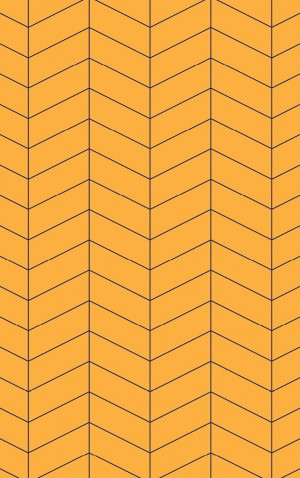 Bright Orange Herringbone — proof front