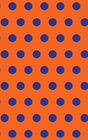Bright Orange and Blue Spots — proof front