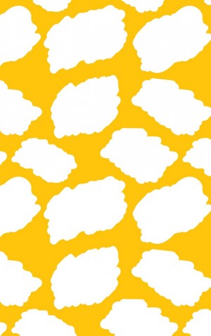 Bright Giraffe Print — proof front