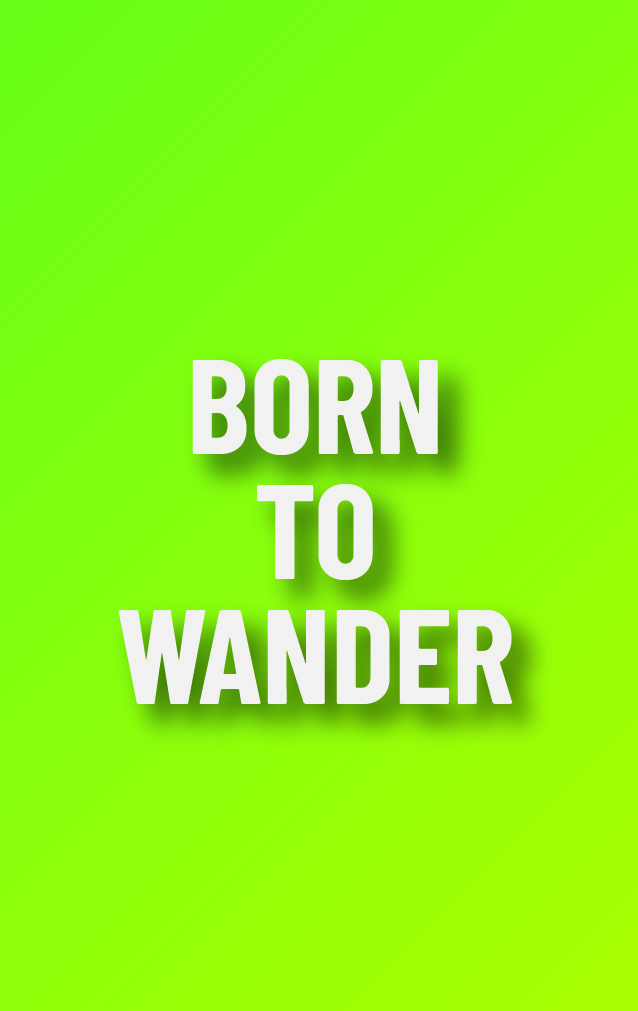 Carry on Attitude - Born To Wander — proof front