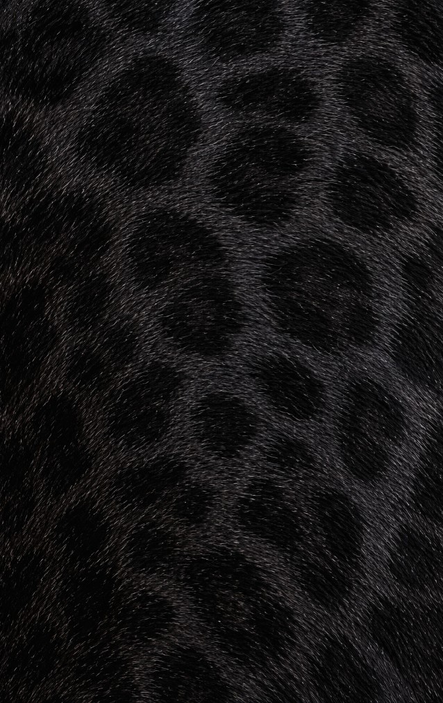 Black Panther Print — proof front