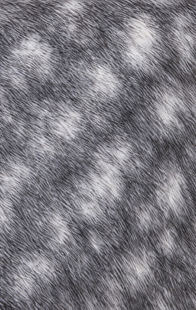 Dapple Grey Horse Print