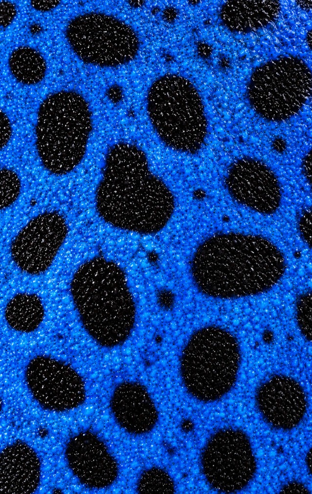 Blue Poison Dart Frog Print — proof front