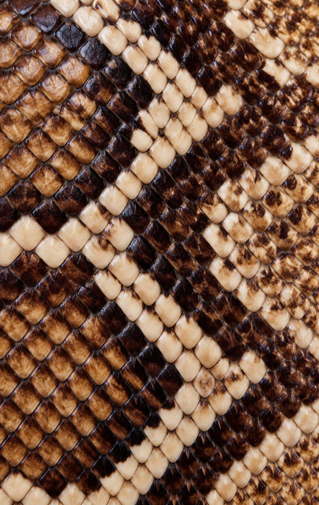 Python Print — proof front