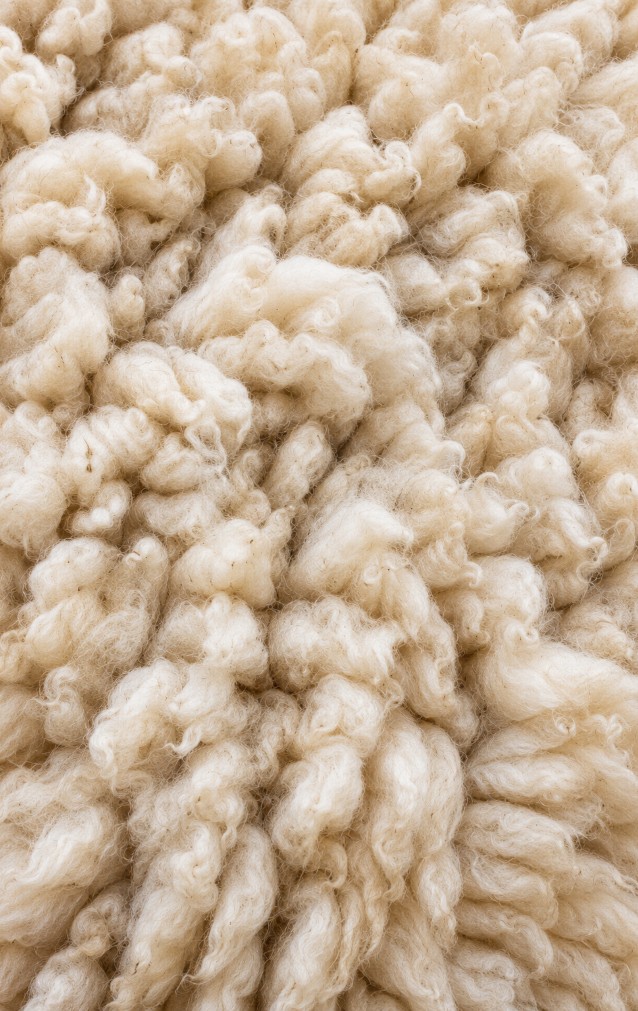 Sheep Fleece Print