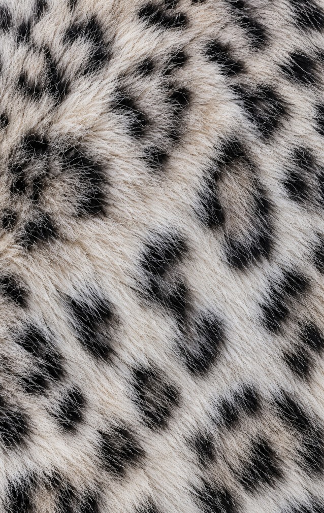 Snow Leopard Print