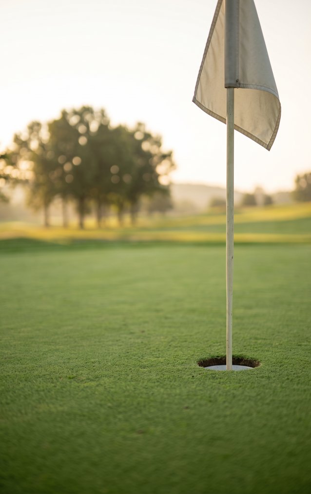 Fields of Play - Golf Green — proof front